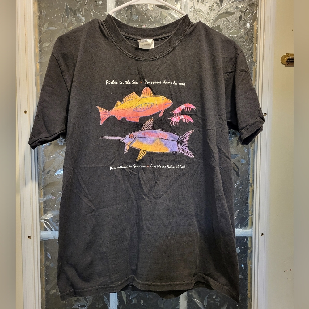 Y2k Gildan Gros Morne Newfoundland Tee